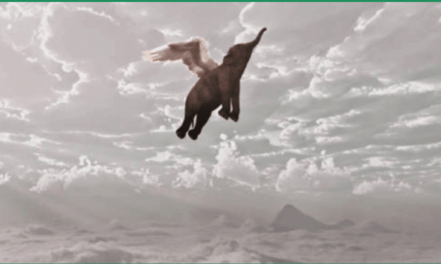 Folktales from India: A Very Short Very Tall Story