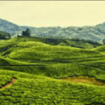 Folktales from India: How Kerala came to be