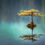 Folktales from India: King Dabschelim