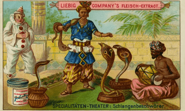 Folktales from India: How the Cobra Became Poisonous