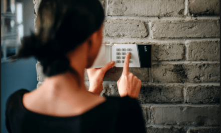 La inseguridad del seguro