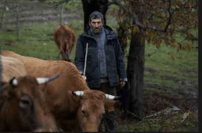 Terrorismo Rural