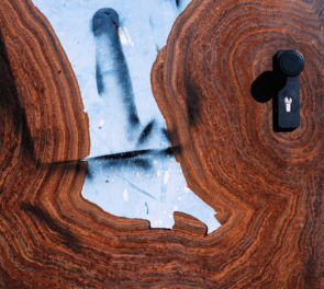 .DOCUMENTING.THE.OBVIOUS: GROWTH RINGS