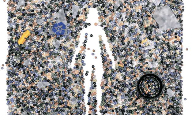 The New Yorker:   How Plastics Are Poisoning Us