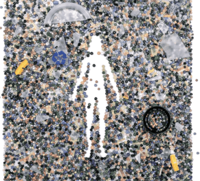 The New Yorker:   How Plastics Are Poisoning Us