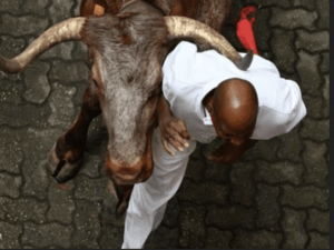 San Fermín 2023:  Primer Encierro