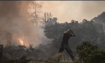 Editorial El Pais_29 de Julio 2023:  Arde el Mediterráneo