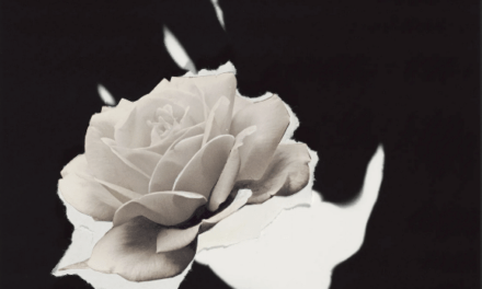 The New Yorker:  How the Camera Re-Taught an Artist to See