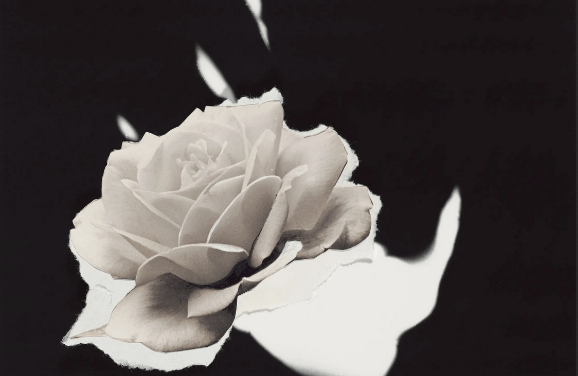 The New Yorker:  How the Camera Re-Taught an Artist to See