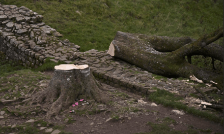 Nuria Labari:  De hombres que piensan en el Imperio Romano y el árbol muerto de Northumberland