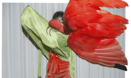 Gloria Crespo Maclennan:  Viviane Sassen, pensamiento mágico a través de una cámara