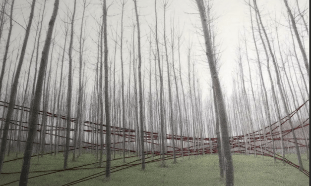 Gloria Crespo Maclennan: Fotografías como bosques de neuronas