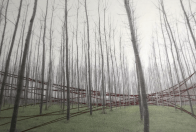 Gloria Crespo Maclennan: Fotografías como bosques de neuronas