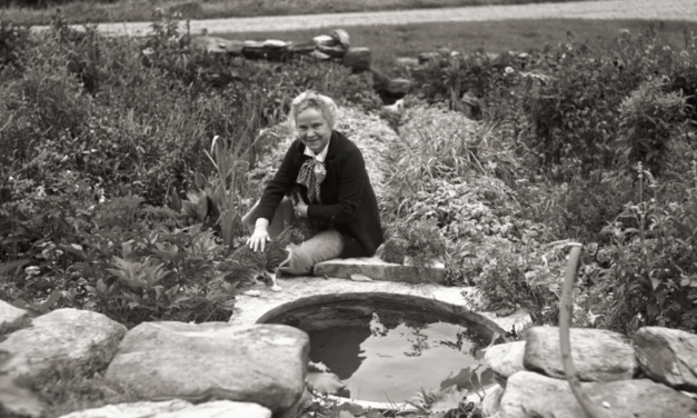 The New Yorker:  The Author Who Brought the Montessori Method to Life in Her Fiction