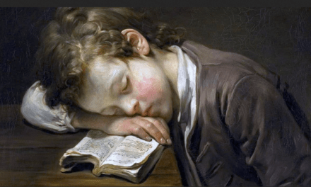 Entre añuft y dormibundo: uso y abuso de los neologismos
