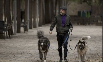Perros
