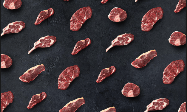 La palabra carne