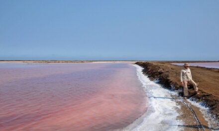 Las Fotos de Hambar: Namibia & Botsawa – Bahía de Walvis