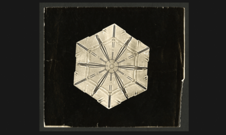 The New Yorker – Chris Wiley – The Man Who Captured the Unique Beauty of Snowflakes