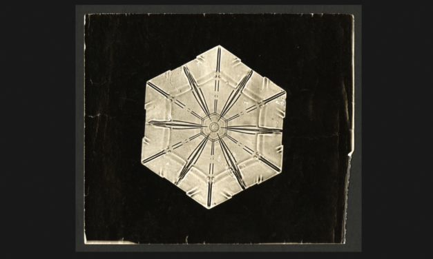The New Yorker – Chris Wiley – The Man Who Captured the Unique Beauty of Snowflakes