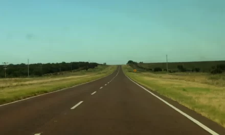 Leila Guerreiro – Hombre que viaja