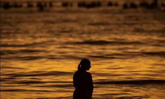 Leila Guerreiro – En otro mar