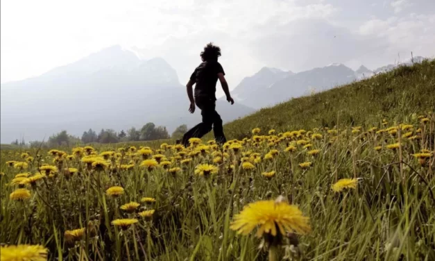 The New Yorker – Why Walking Helps Us Think