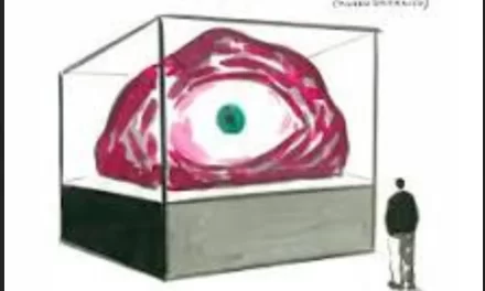 Andrés Rábago “El Roto”