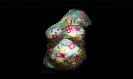 The Point Magazine – Agnes Callard – Do You Want My Garbage