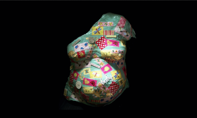 The Point Magazine – Agnes Callard – Do You Want My Garbage