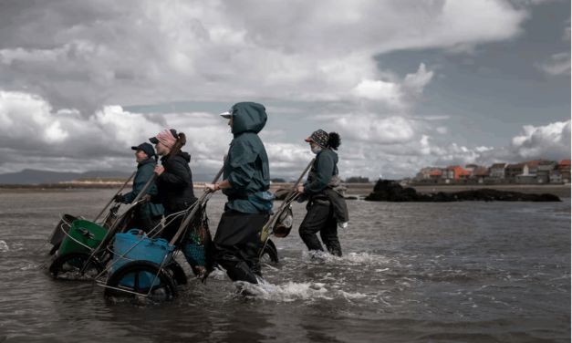 Arturo Lezcano -Mariscadoras, las hijas de la ría