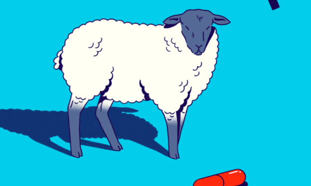 The New Yorker – Should You Question Everything