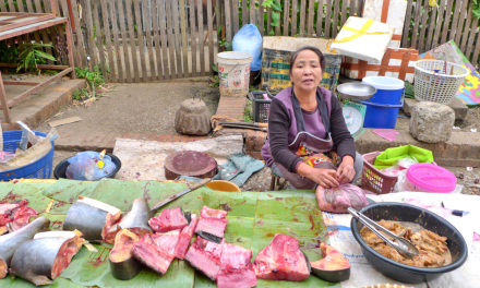 Las fotos de Hambar – Mercados de Luang Praban, Laos