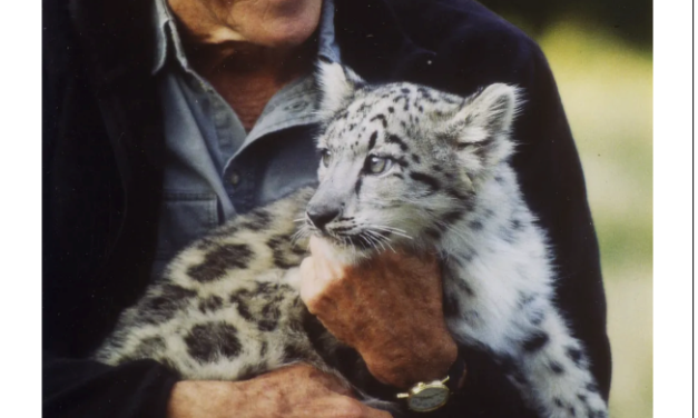 The New Yorker – Peter Matthiessen Travelled the World, Trying to Escape Himself