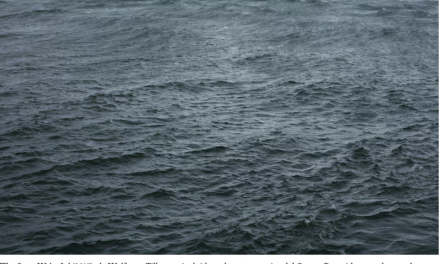 Álex Vicente – Wolfgang Tillmans, historia de las penúltimas cosas