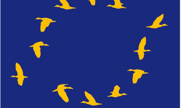 Jürgen Habermas – La (improbable) integración política de la UE es vital