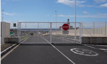 Berna González Harbour – Hantavirus: bienvenidos a la España más mezquina