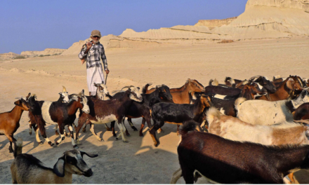 Las Fotos de Hambar – Isla de Qeshm – Irán – Octubre 2016