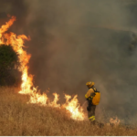 Why Is Europe Burning?