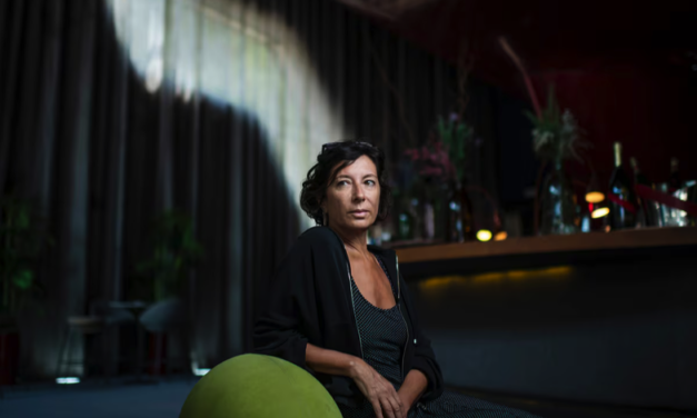 Sergio C. Fanjul – Simona Levi, activista: “Los partidos son empresas privadas que mantenemos entre todos”